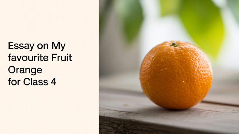 Essay On My Favourite Fruit Orange For Class 4